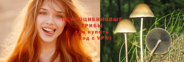 бошки Балахна