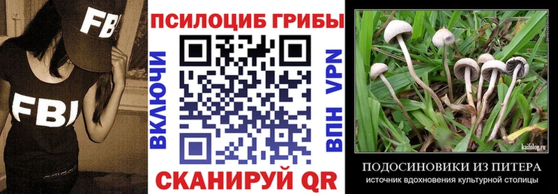 купить наркоту  Хадыженск  Галлюциногенные грибы GOLDEN TEACHER 