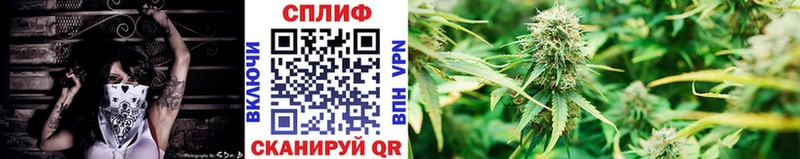 наркота  Хадыженск  кракен рабочий сайт  Марихуана VHQ 